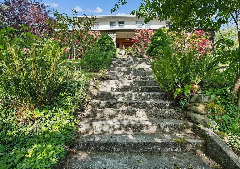 Stone steps climbing through ferns and rhododendrons to the front terrace