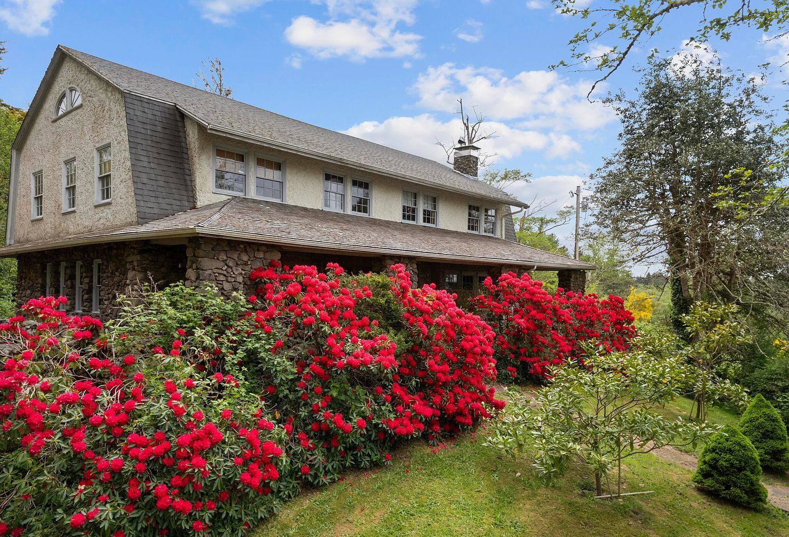 Lawn and front elevation with rhododendrons in bloom